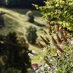 Talblick 5, Mit Sauna Und Wunderschoenen Panoramablick Neu Walkenried