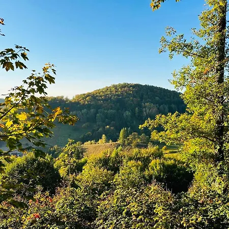 Talblick 5, Mit Sauna Und Wunderschoenen Ausblick Im Sued Harz Holiday home