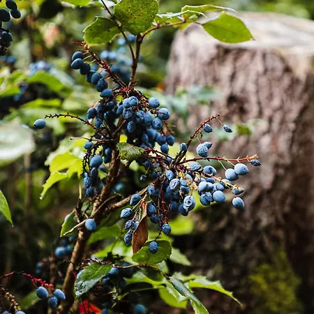 Talblick 5, Mit Sauna Und Wunderschoenen Panoramablick Neu Walkenried