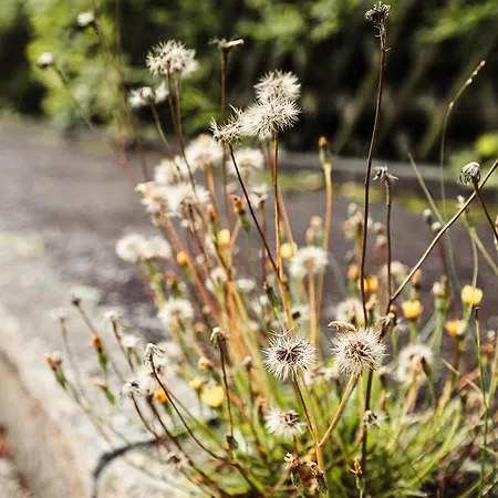 Talblick 5, Mit Sauna Und Wunderschoenen Panoramablick Neu Dom wakacyjny