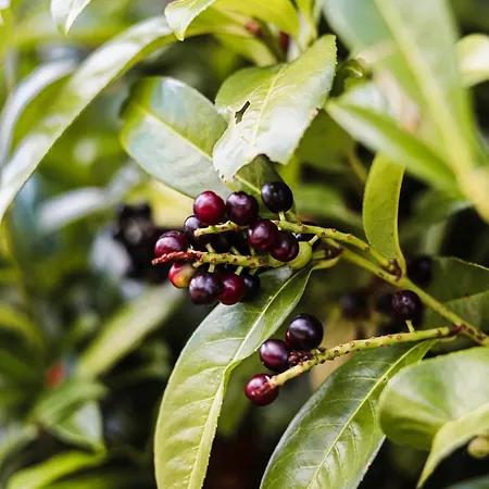 Talblick 5, Mit Sauna Und Wunderschoenen Panoramablick Neu * Walkenried