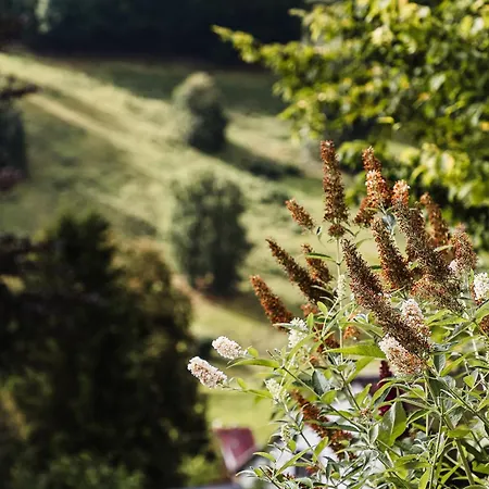 Talblick 5, Mit Sauna Und Wunderschoenen Panoramablick Neu Walkenried