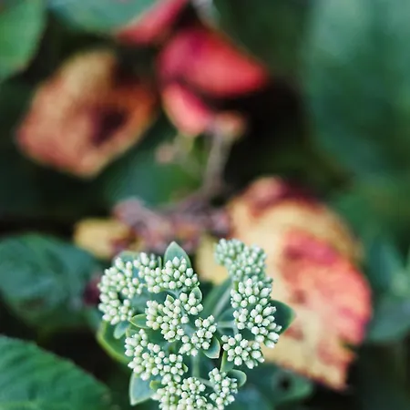 Dom wakacyjny Talblick 5, Mit Sauna Und Wunderschoenen Panoramablick Neu Walkenried