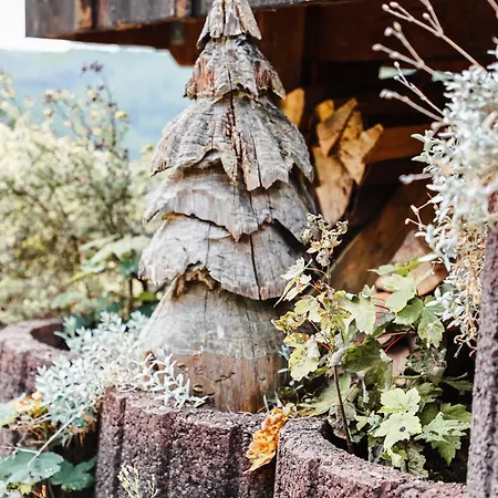 Talblick 5, Mit Sauna Und Wunderschoenen Panoramablick Neu Dom wakacyjny