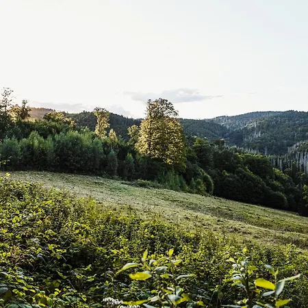 Neues Bungalow, Talblick 5, Mit Sauna Und Wunderschoenen Panoramablick Сasa de vacaciones *