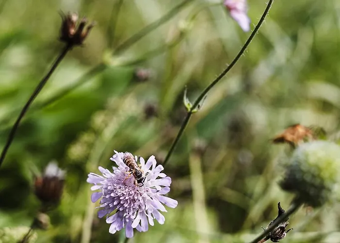 بيت للعطل Talblick 5, Mit Sauna Und Wunderschoenen Panoramablick Neu *