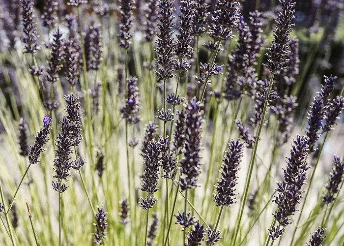 بيت للعطل Talblick 5, Mit Sauna Und Wunderschoenen Panoramablick Neu