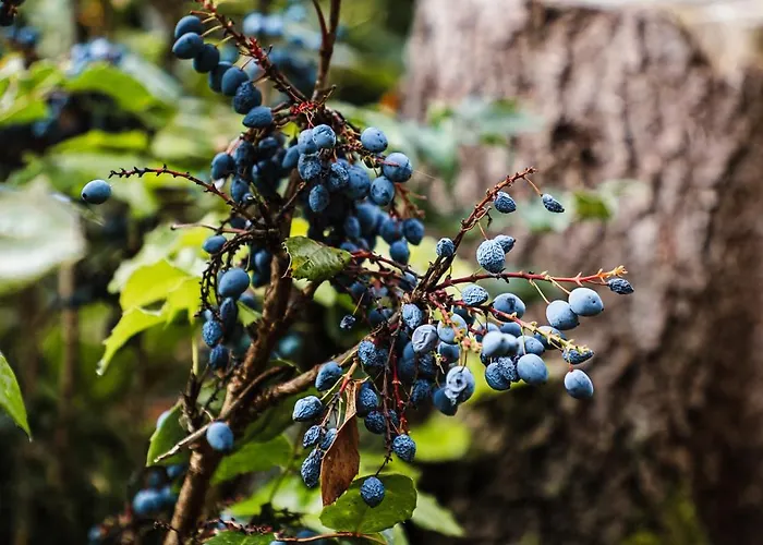 Talblick 5, Mit Sauna Und Wunderschoenen Panoramablick Neu Walkenried