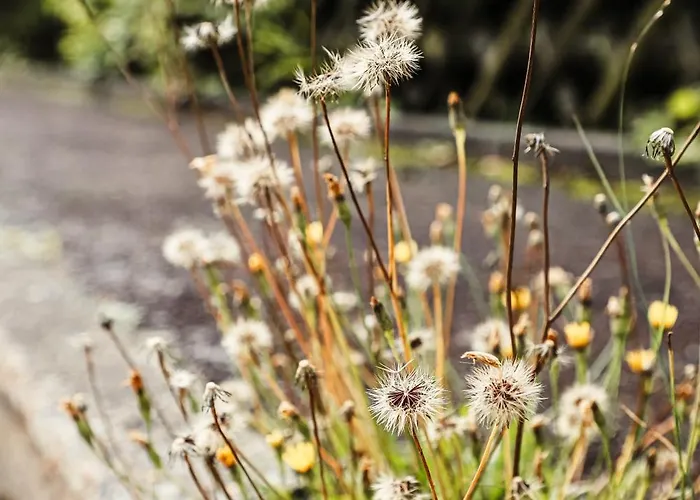 Talblick 5, Mit Sauna Und Wunderschoenen Panoramablick Neu بيت للعطل