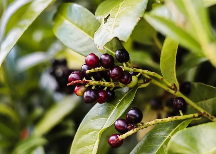 Talblick 5, Mit Sauna Und Wunderschoenen Panoramablick Neu * Walkenried