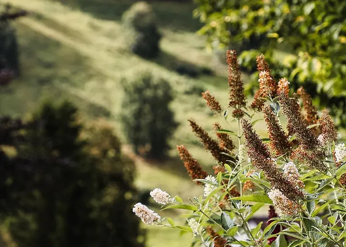 Talblick 5, Mit Sauna Und Wunderschoenen Panoramablick Neu Walkenried