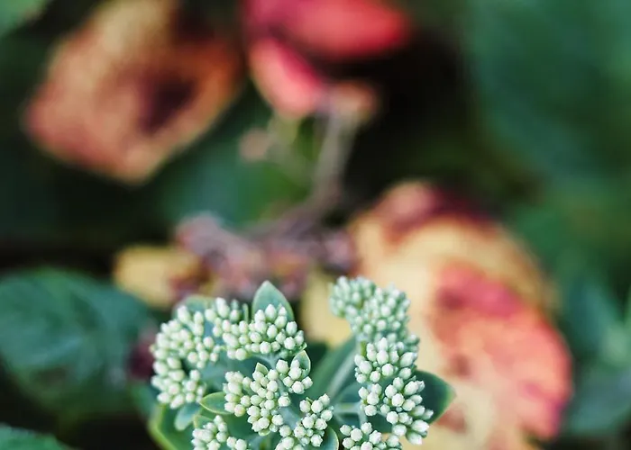 بيت للعطل Talblick 5, Mit Sauna Und Wunderschoenen Panoramablick Neu Walkenried