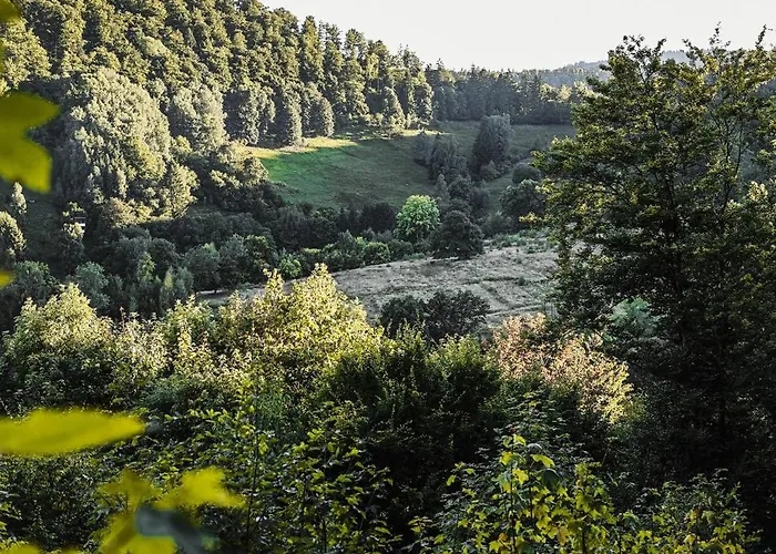 Talblick 5, Mit Sauna Und Wunderschoenen Panoramablick Neu Walkenried