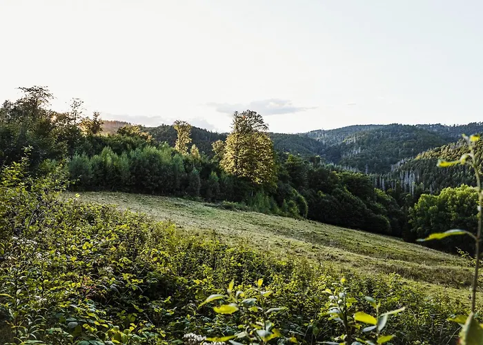 Talblick 5, Mit Sauna Und Wunderschoenen Panoramablick Neu بيت للعطل *